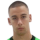 Hlapcic J.