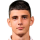 Roganovic V.