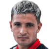 Fernandez M.