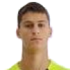 Stevanovic D.