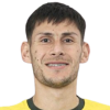 Ferreira L.