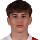 Skafar Zuzic N.