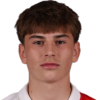Skafar Zuzic N.