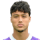 Karademir Y.