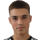 Mirkovic N.