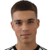 Mirkovic N.