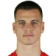 Sremcevic U.