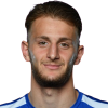 Lominadze N.
