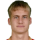 Mihajlovic P.