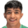 Al-Samamreh A.