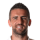 Ibisevic V.