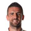 Ibisevic V.