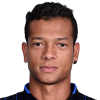 Guarin F.