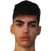Stojakovic A.