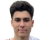 Ozdemir T.