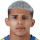 Flores L.