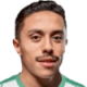 Al Hamdani M.