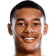 برندون آستین