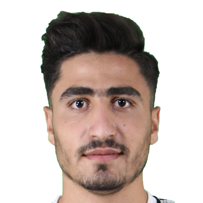محمدمهدی احمدی