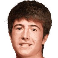 میکل جارگریز