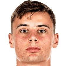 گابریل ویدوویچ