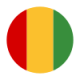 تیم ملی گینه