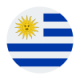 تیم ملی اروگوئه