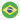 تیم ملی نوجوانان برزیل