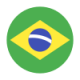 تیم ملی نوجوانان برزیل